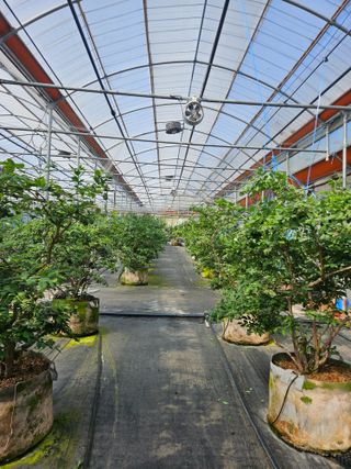 제주 지안이네농장님의 자유주제 · 자유게시판 작성글 사진