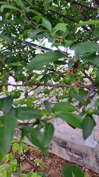 주윤발이님의 자유주제 · 자유게시판 작성글 사진