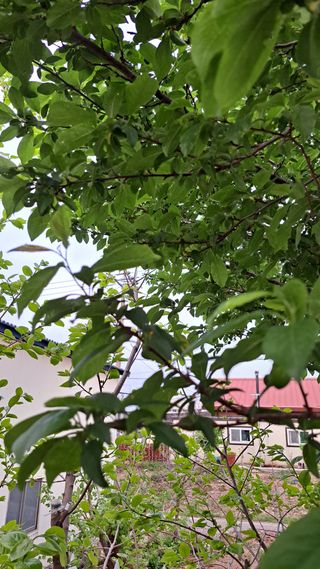 주윤발이님의 자유주제 · 자유게시판 작성글 사진