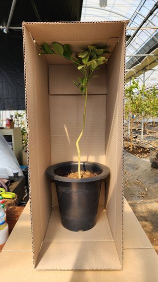 정미리님의 작성글 사진