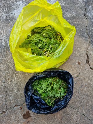 권오정님의 자유주제 · 자유게시판 작성글 사진