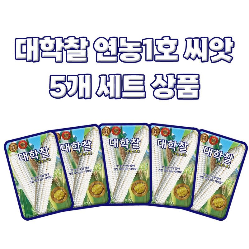 산들마켓,씨앗마켓님의 장터 판매 상품 [대학찰 옥수수 씨앗 70립 연농1호 옥수수씨 종자 5개 + 고칼슘 500ml 식물칼슘제 1개 증정] 첨부 사진