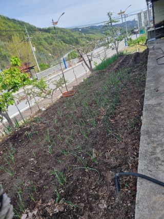 김용대님의 자유주제 · 자유게시판 작성글 사진