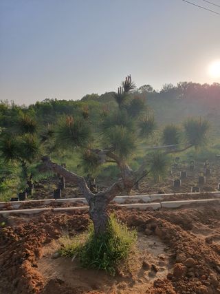 알 수 없음님의 자유주제 · 사진전 작성글 사진