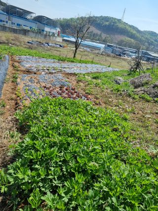 권오정님의 자유주제 · 자유게시판 작성글 사진