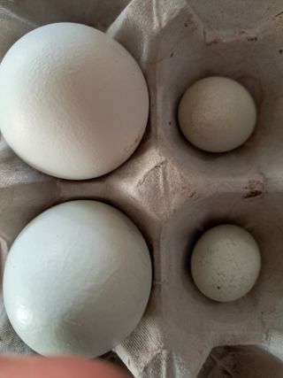 류남열님의 자유주제 · 자유게시판 작성글 사진