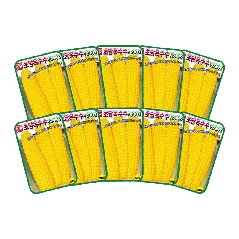 산들마켓,씨앗마켓님의 장터 판매 상품 [초당옥수수 씨앗 100립 VSC03 생식용 옥수수씨 종자 10개 + 왕자라나 500ml 식물영양제 1개 증정] 첨부 사진