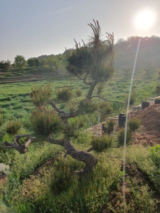 알 수 없음님의 자유주제 · 사진전 작성글 사진