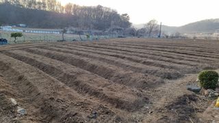 신상범님의 자유주제 · 자유게시판 작성글 사진