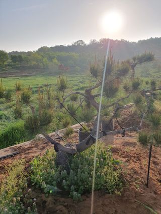 알 수 없음님의 자유주제 · 사진전 작성글 사진