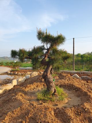 알 수 없음님의 자유주제 · 사진전 작성글 사진
