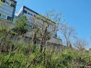 권오정님의 자유주제 · 자유게시판 작성글 사진