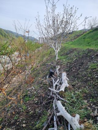 김용대님의 자유주제 · 자유게시판 작성글 사진