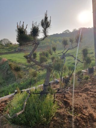 알 수 없음님의 자유주제 · 사진전 작성글 사진