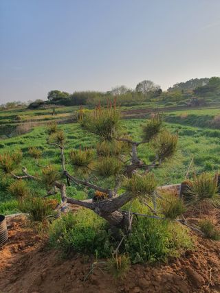 알 수 없음님의 자유주제 · 사진전 작성글 사진