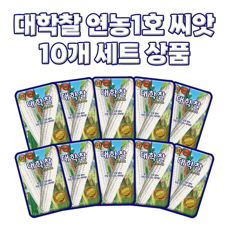산들마켓,씨앗마켓님의 장터 판매 상품 [대학찰 옥수수 씨앗 70립 연농1호 옥수수씨 종자 10개 + 왕자라나 500ml 식물 영양제 증정] 첨부 사진