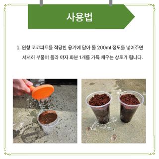 아시아종묘님의 자유주제 · 자유게시판 작성글 사진