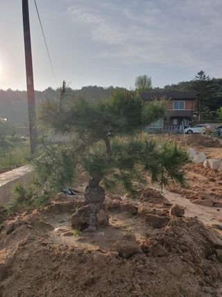 알 수 없음님의 자유주제 · 사진전 작성글 사진