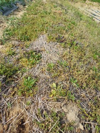 유영옥님의 자유주제 · 자유게시판 작성글 사진