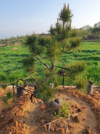 알 수 없음님의 자유주제 · 사진전 작성글 사진