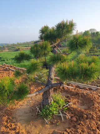알 수 없음님의 자유주제 · 사진전 작성글 사진