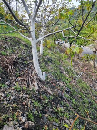 김용대님의 자유주제 · 자유게시판 작성글 사진