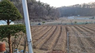 신상범님의 자유주제 · 자유게시판 작성글 사진