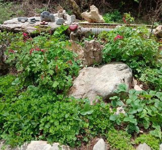 인생은 소풍처럼님의 자유주제 · 자유게시판 작성글 사진