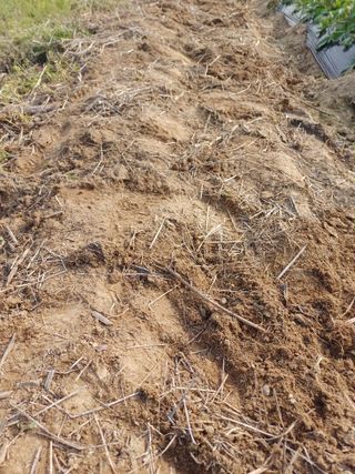 유영옥님의 자유주제 · 자유게시판 작성글 사진