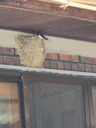 정석범님의 자유주제 · 자유게시판 작성글 사진