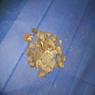 오영도님의 자유주제 · 자유게시판 작성글 사진