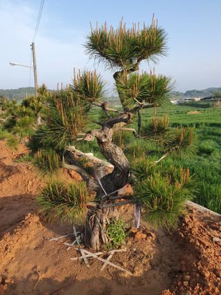 알 수 없음님의 자유주제 · 사진전 작성글 사진