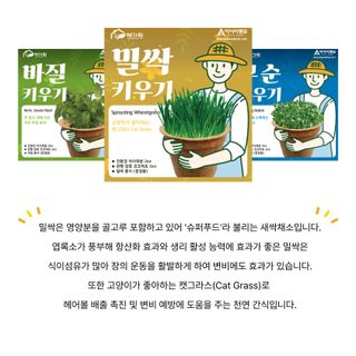 아시아종묘님의 자유주제 · 자유게시판 작성글 사진