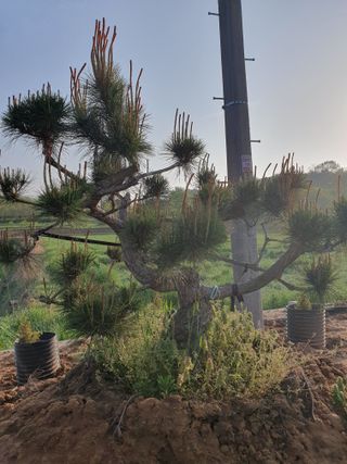 알 수 없음님의 자유주제 · 사진전 작성글 사진