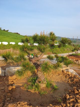 알 수 없음님의 자유주제 · 사진전 작성글 사진