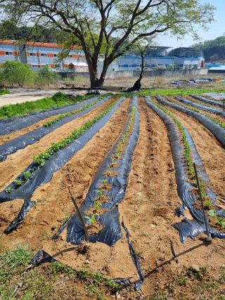 권오정님의 자유주제 · 자유게시판 작성글 사진