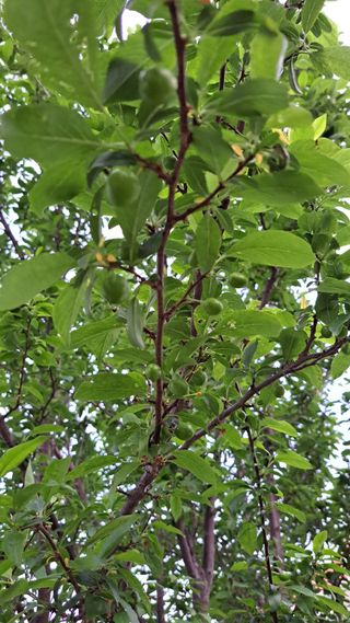 주윤발이님의 자유주제 · 자유게시판 작성글 사진