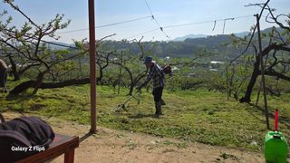 박현주님의 자유주제 · 자유게시판 작성글 사진