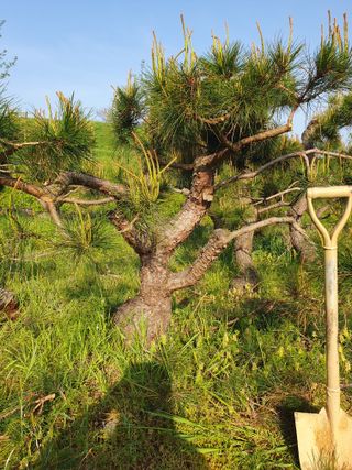 알 수 없음님의 자유주제 · 사진전 작성글 사진