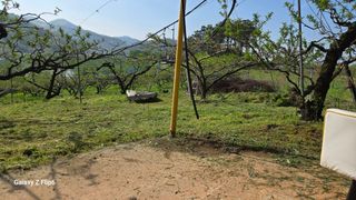 박현주님의 자유주제 · 자유게시판 작성글 사진