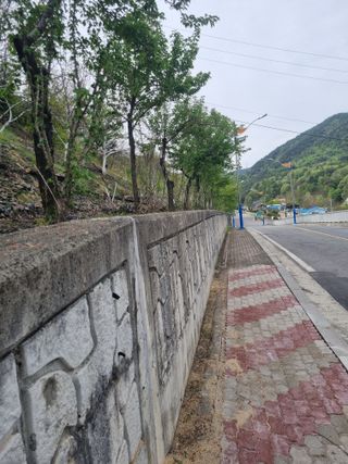 김용대님의 자유주제 · 자유게시판 작성글 사진