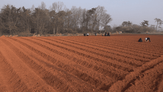 누보농장님의 자유주제 · 자유게시판 작성글 사진