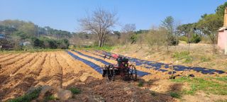 한성님의 자유주제 · 자유게시판 작성글 사진