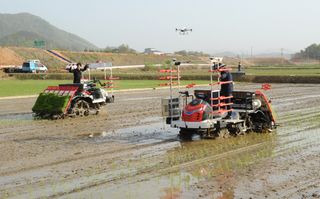 국중선님의 자유주제 · 자유게시판 작성글 사진