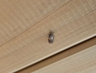 연모 자연의행복님의 자유주제 · 자유게시판 작성글 사진