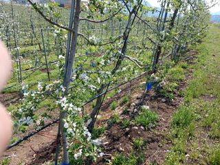 알 수 없음님의 자유주제 · 자유게시판 작성글 사진