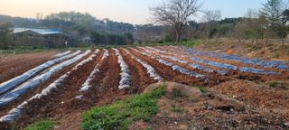 한성님의 자유주제 · 자유게시판 작성글 사진