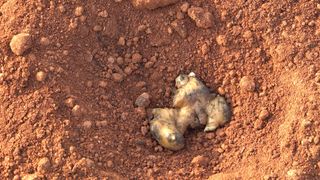 누보농장님의 자유주제 · 자유게시판 작성글 사진