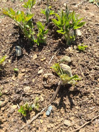 이미영님의 자유주제 · 사진전 작성글 사진