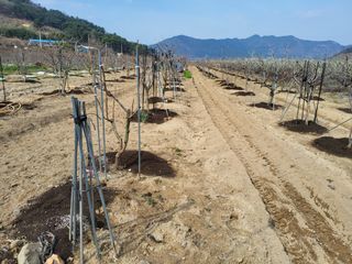 손수열님의 자유주제 · 자유게시판 작성글 사진